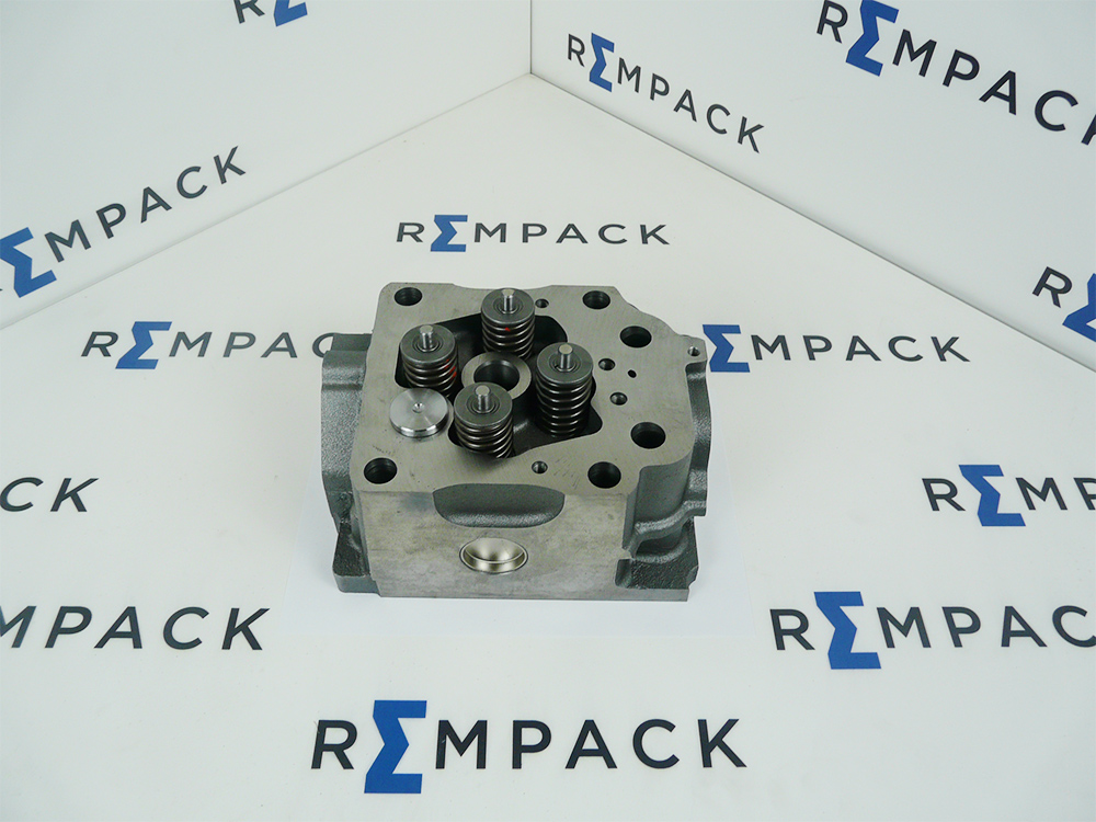 Головка блока цилиндров REMPACK 10905002 (A5410104621) Mercedes A5410100721, A5410101221, A5410101421, A5410101021, A5410102921 